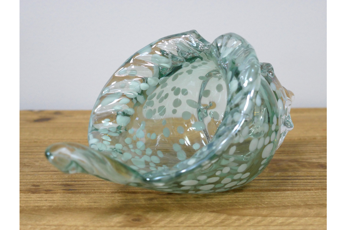 Glass Shell