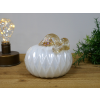 Glass Pumpkin
