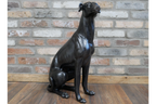 Sitting Whippet