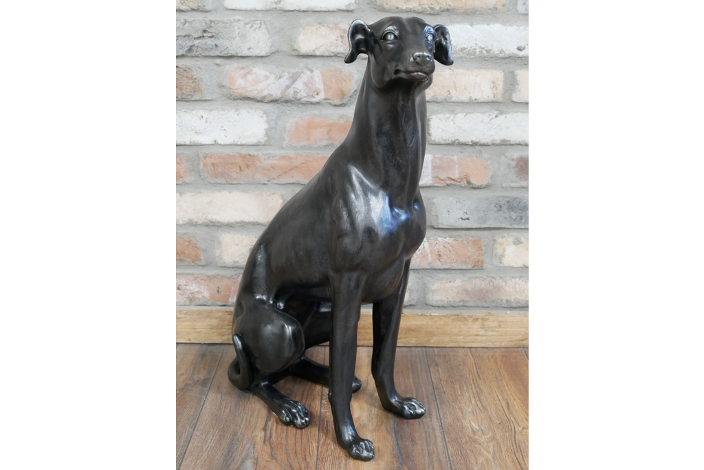 Sitting Whippet