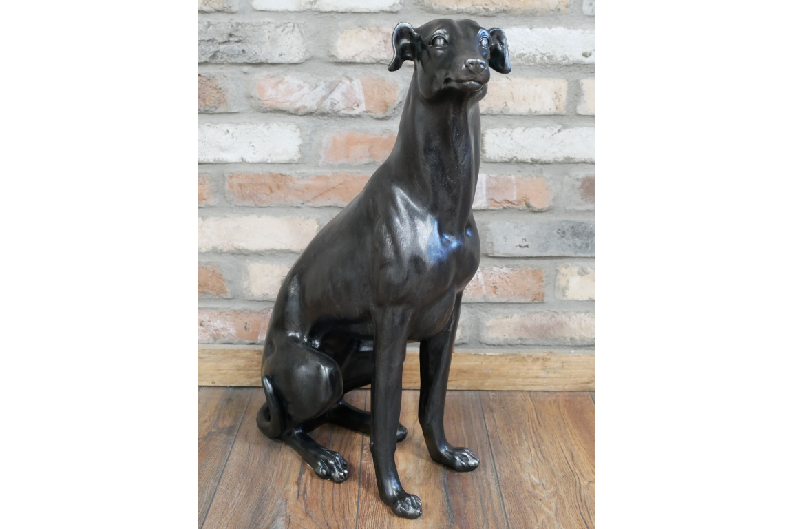 Sitting Whippet