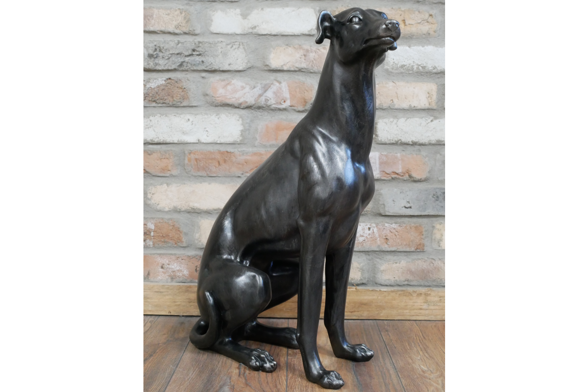 Sitting Whippet