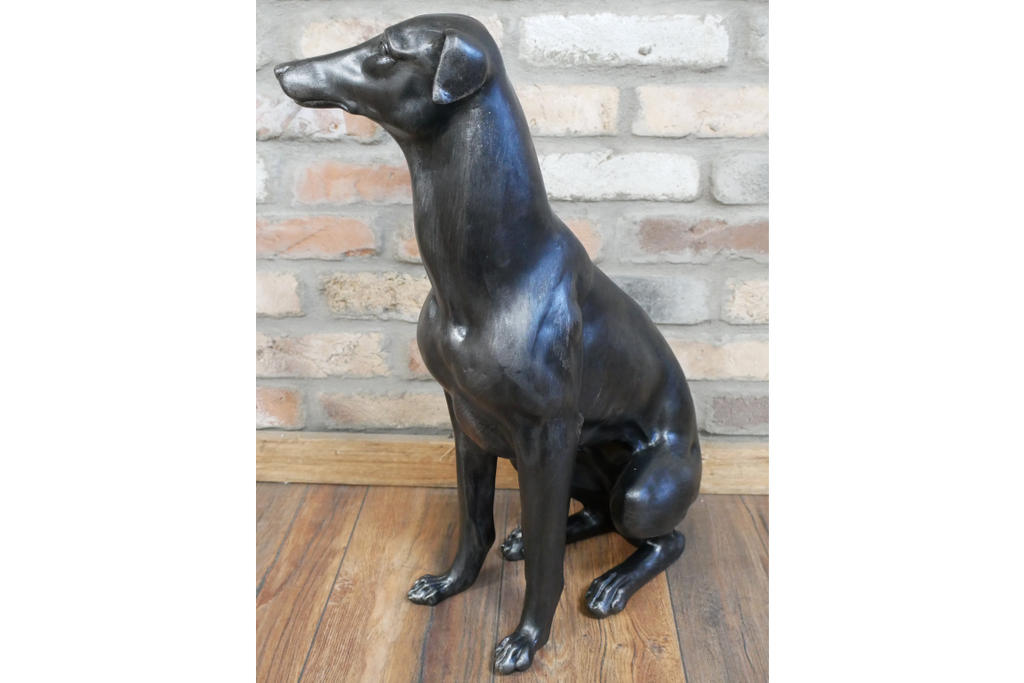 Sitting Whippet
