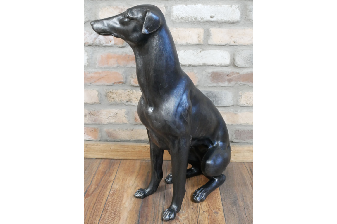 Sitting Whippet