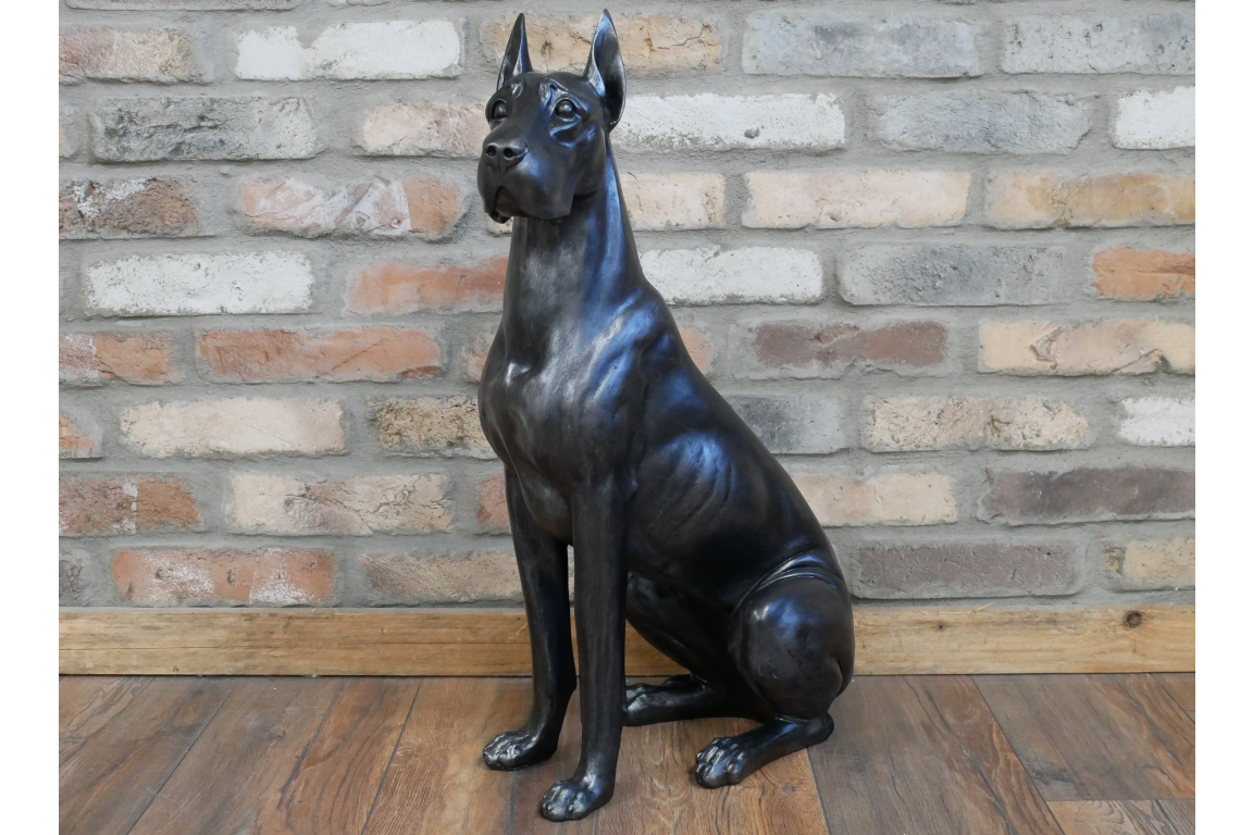 Sitting Great Dane