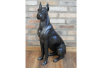 Sitting Great Dane