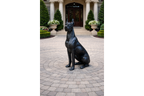 Sitting Great Dane