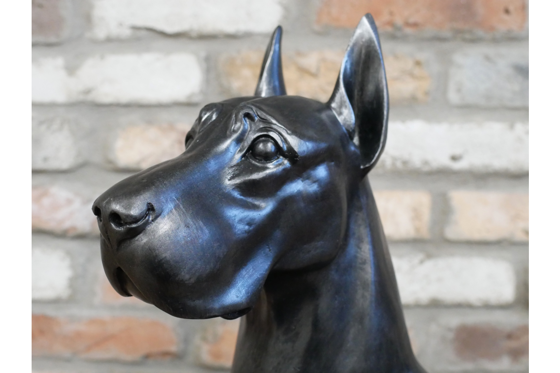 Sitting Great Dane