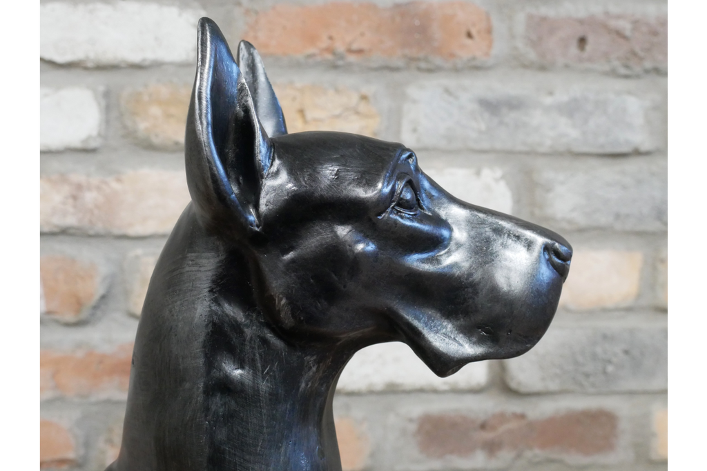 Sitting Great Dane