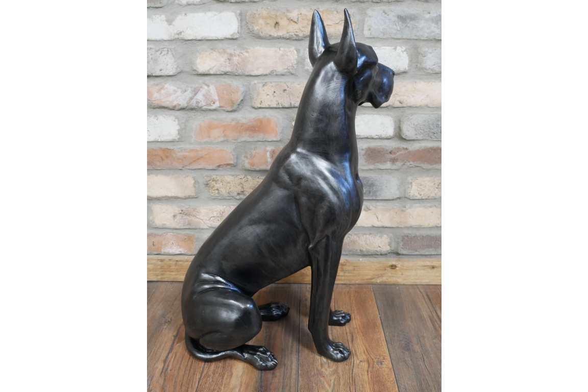 Sitting Great Dane