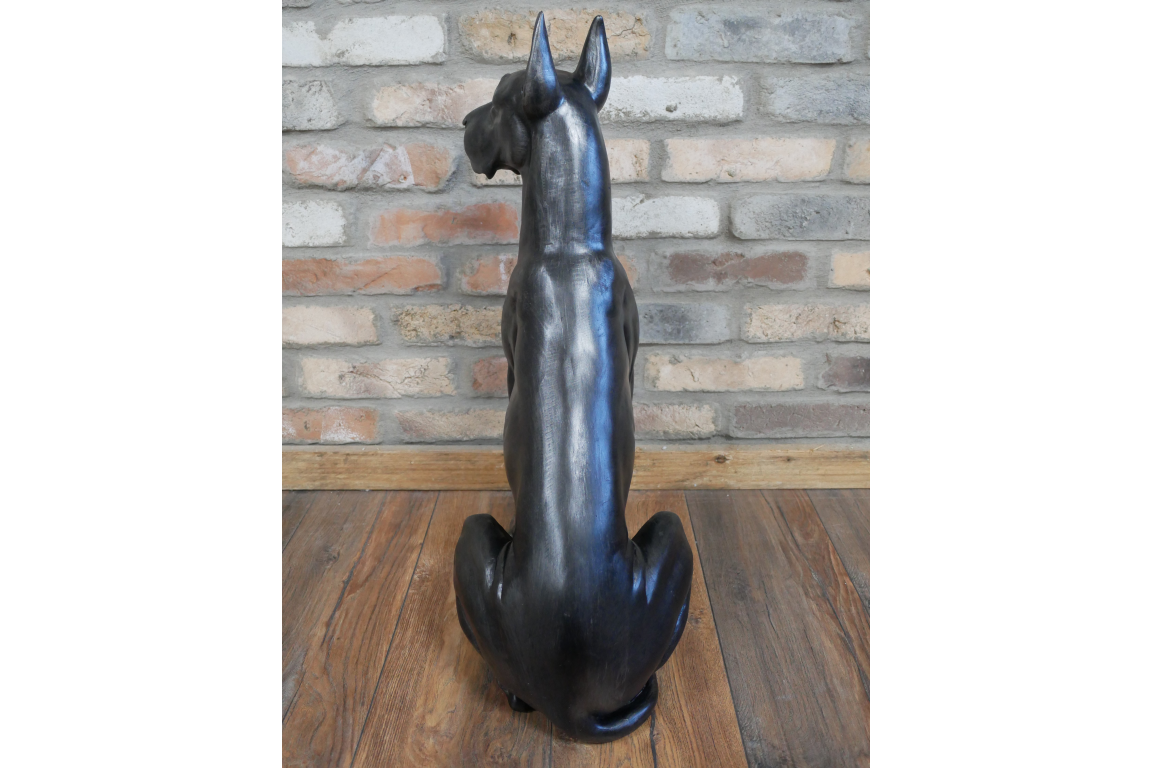 Sitting Great Dane
