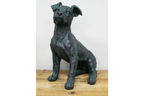 Sitting Dog