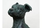 Sitting Dog