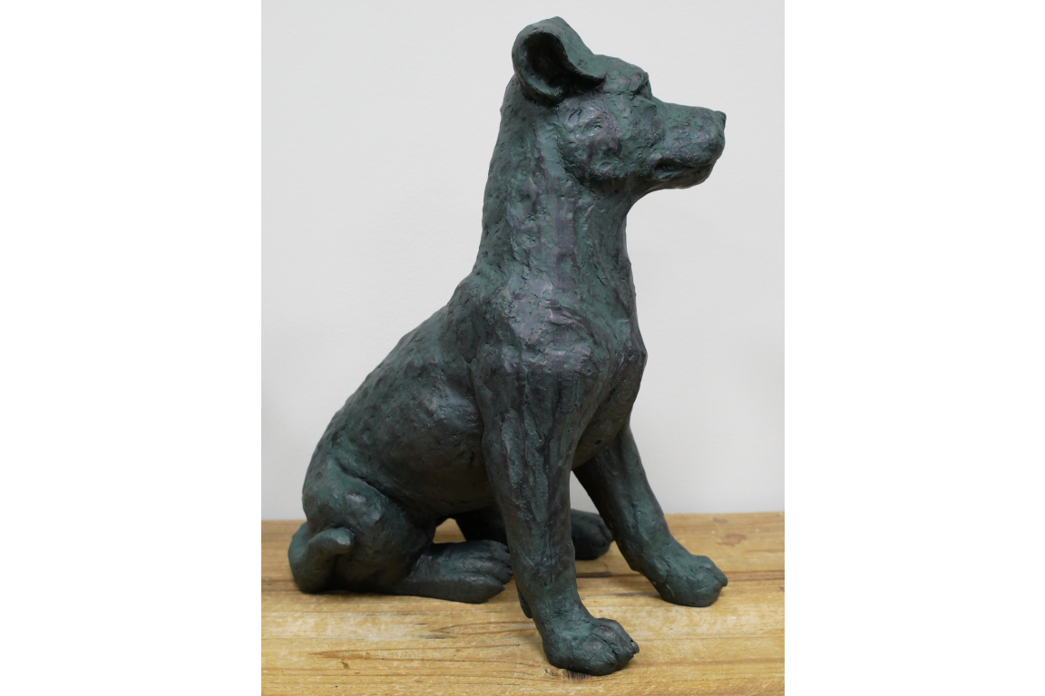 Sitting Dog