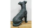 Sitting Dog