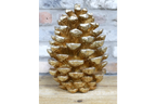Giant Gold Pinecone