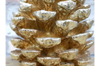 Giant Gold Pinecone
