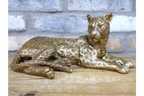 Laying Leopard