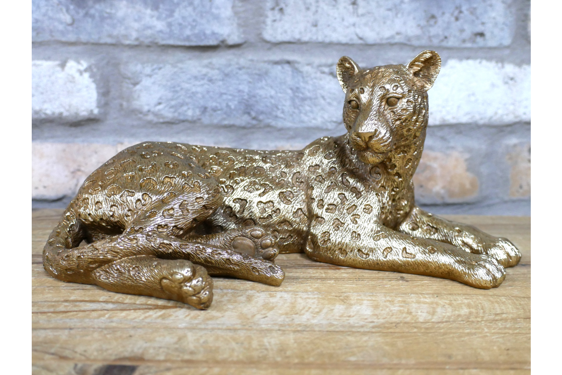 Laying Leopard