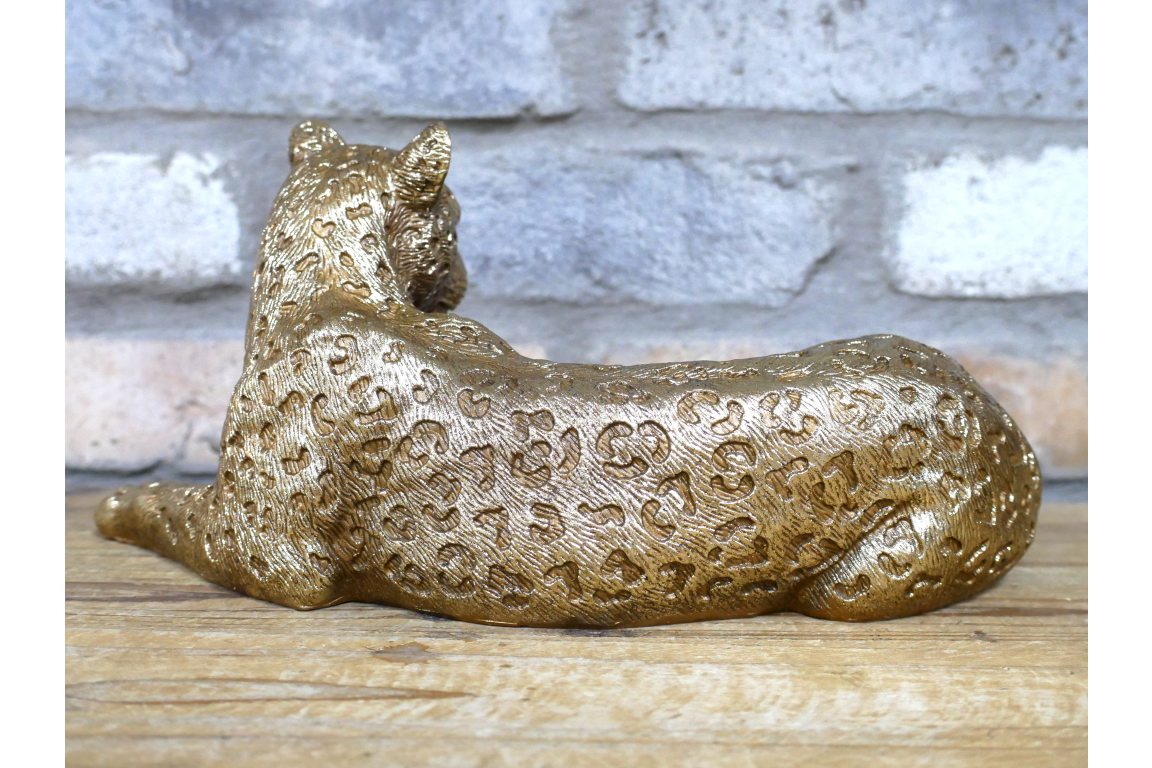 Laying Leopard