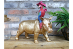 Rhino & Parrot