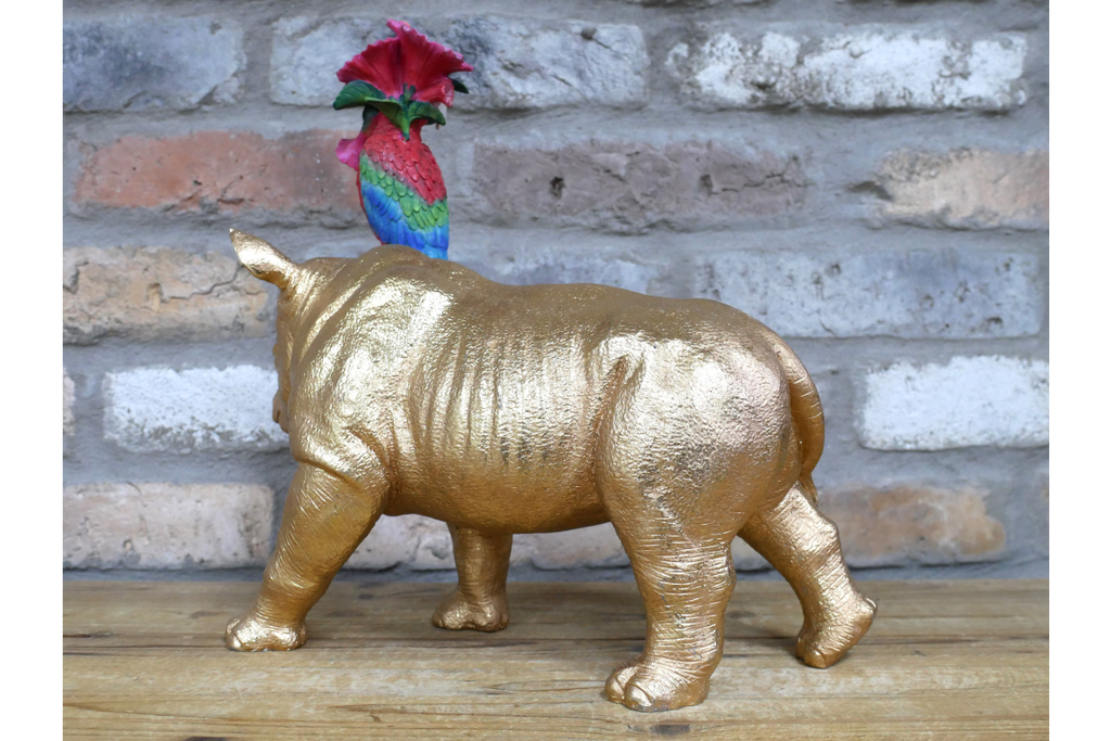 Rhino & Parrot