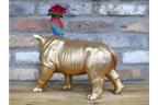 Rhino & Parrot