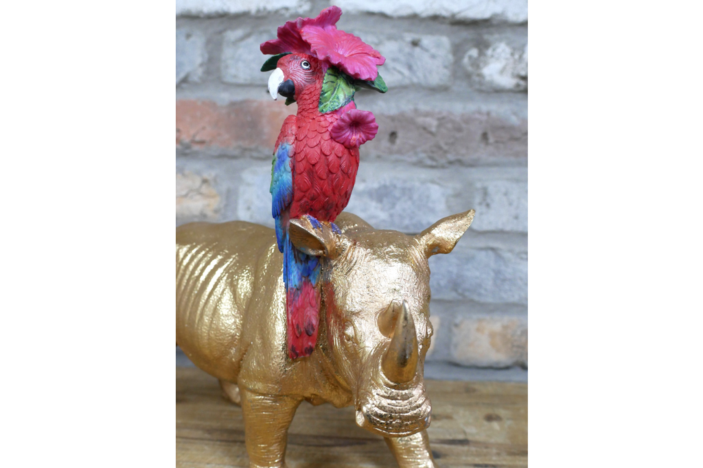 Rhino & Parrot