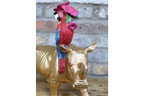 Rhino & Parrot