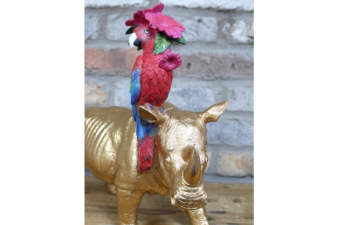 Rhino & Parrot