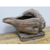 Shell Planter