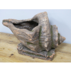 Shell Planter