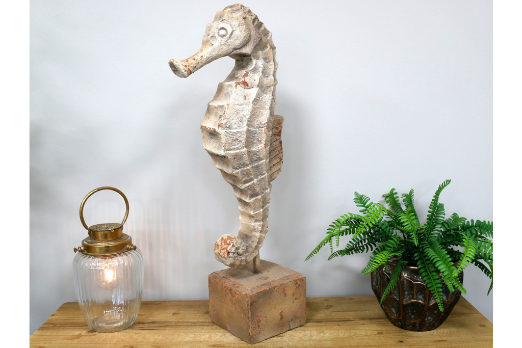Seahorse