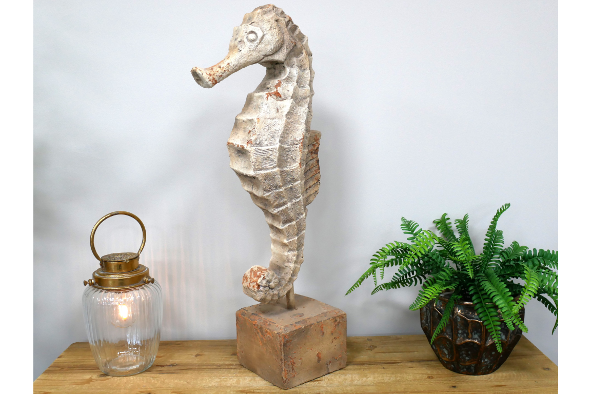 Seahorse