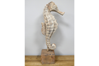 Seahorse