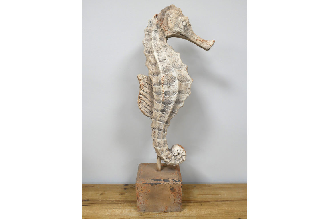 Seahorse