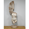 Body With Single Wing