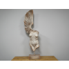 Body With Single Wing
