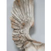 Body With Single Wing