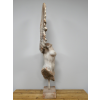 Body With Single Wing