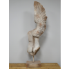 Body With Single Wing