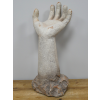 Arm