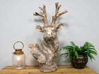 Stag Bust