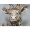 Stag Bust