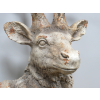 Stag Bust