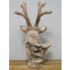 Stag Bust