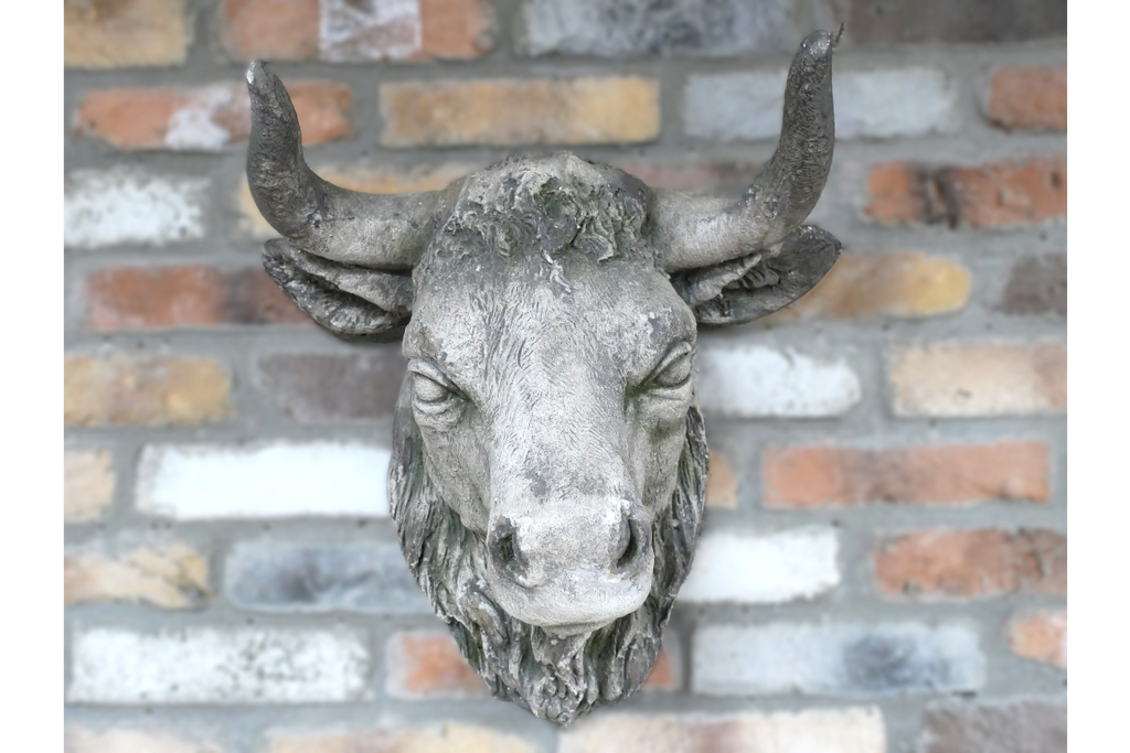 Cow Head