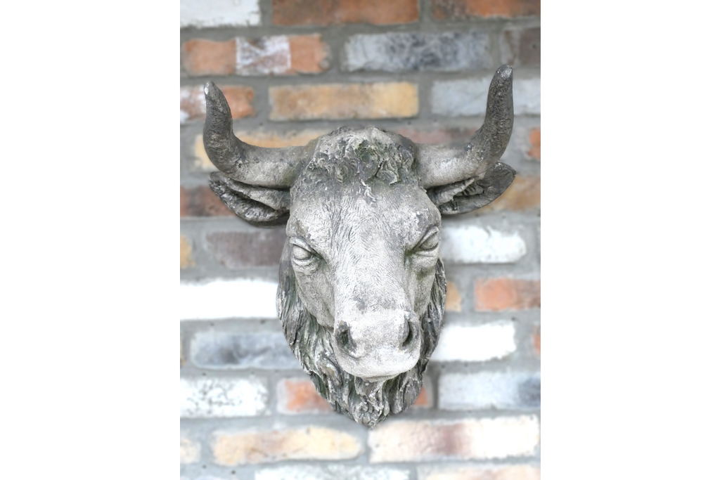 Cow Head