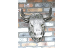 Cow Head