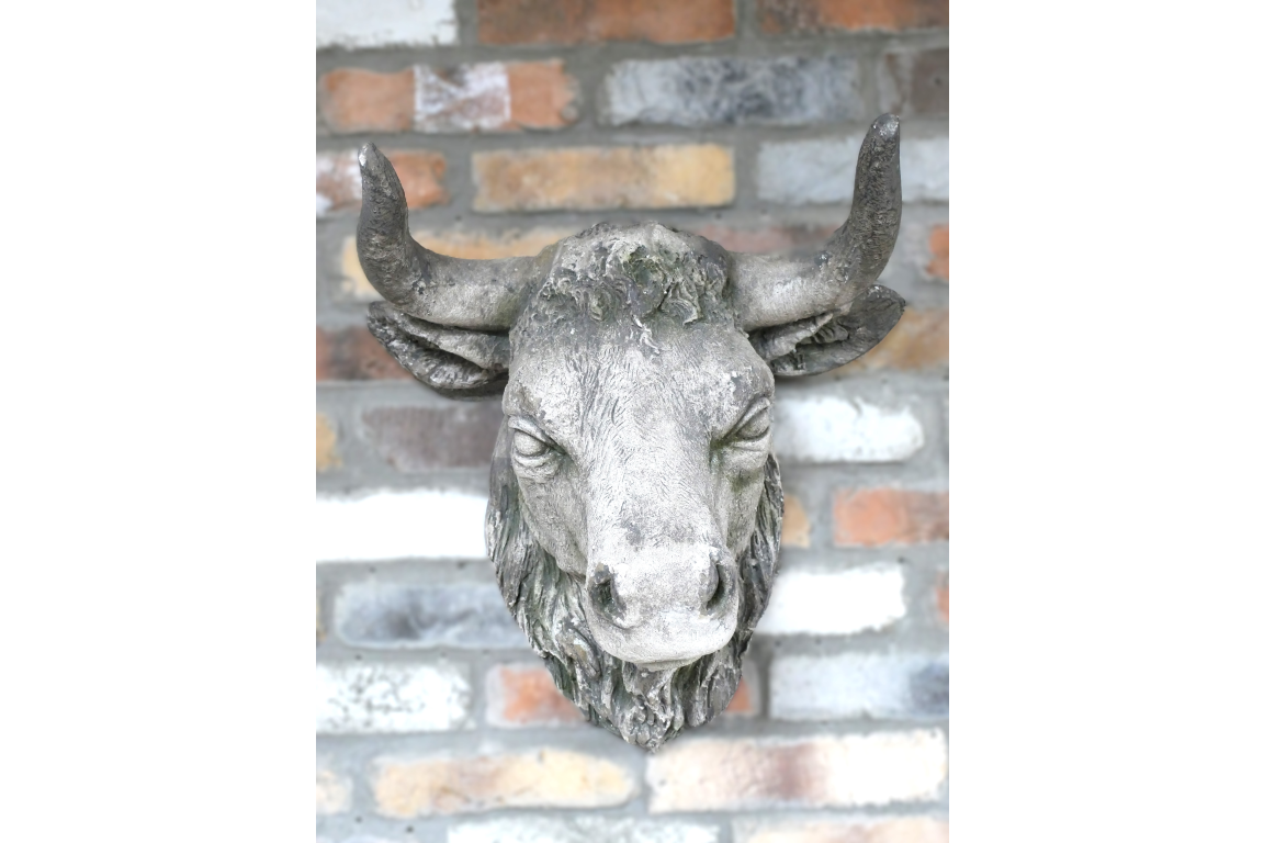Cow Head